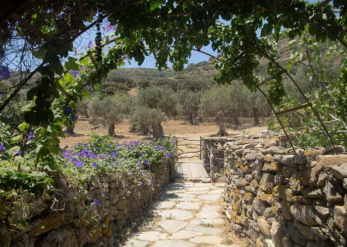 Under The Linden Tree Tinos