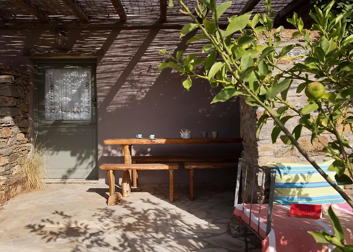 Under The Linden Tree Tinos