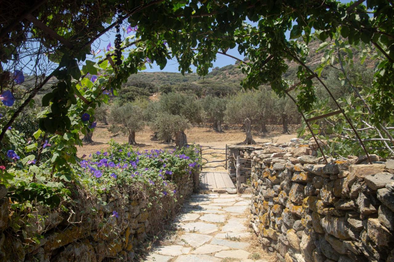 Under The Linden Tree Tinos *