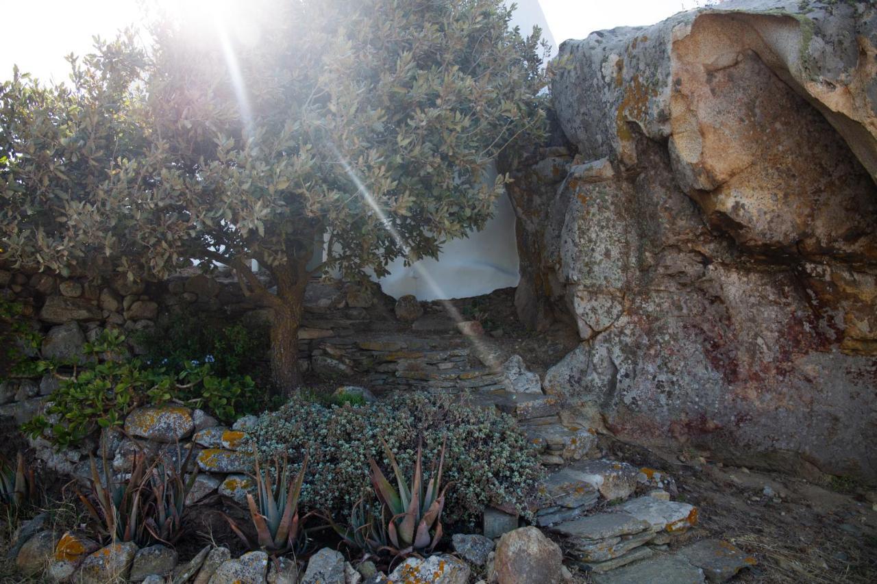 Under The Linden Tree Tinos * Koumaros