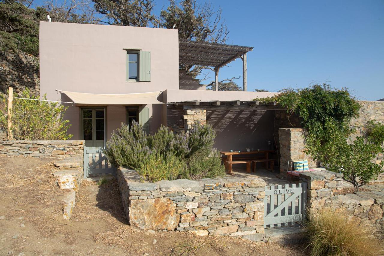 Country house Under The Linden Tree Tinos *